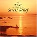   - The FAST Technique for Stress Relief
