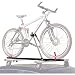 Upright Roof Rack B000SL1AEG