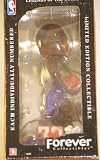 2003 - NBA - Forever Collectibles - Team Beans LLC - Legends of the Court - Amare Stoudemire #32 - Phoenix Suns - Limited Edition - Numbered - New - Collectible - OOP