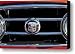 1953 Nash Healey Roadster Hood Ornament Canvas Print / Canvas Art - Artist Jill Reger 1953 Nash Healey Roadster Hood Ornament Canvas Print / Canvas Art - Artist Jill Reger