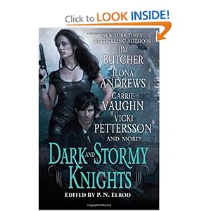 Dark and Stormy Knights - Various Authors