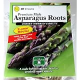 Pack of 10 Premium Male Asparagus Roots - Variety 