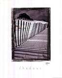 IMAGE OF Shadows PREMIUM GRADE Rolled CANVAS Art Print John Jones 16x20