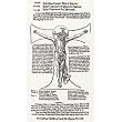 Wolfgang Strauch (Prayers to the crucified Christ) Art Poster Print - 13x19
