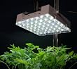 LED Grow Light Panel
