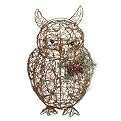 50LT GRAPEVINE OWL - 22