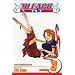 Bleach: v. 3