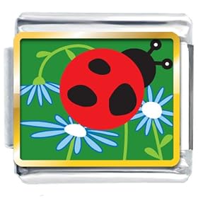 Curious Ladybug Animal Photo Italian Charms Bracelet Link