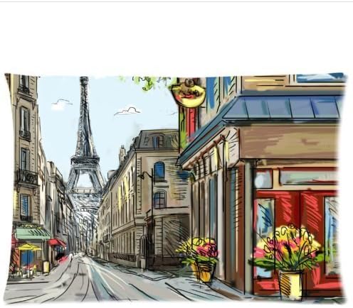 Custom It The Eiffel tower painting Paris street flowers bike Rectangular Decorative Cotton polyester Pillow Case Cushion Cover 20x30 inch zipper pillowcase(one side)
