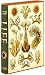 Life: A Natural History Of The First Four Billion Years Of... chez Livres sur le nom: 510UTuqukIL._SL75_