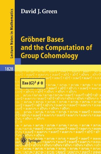 Gröbner Bases and the Computation of Group Cohomology (Lecture Notes in Mathematics)