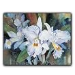 Passages - Box Set of 12 Greeting Cards and Patterned Envelopes