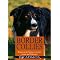Meine liebsten Hundesport-B�cher