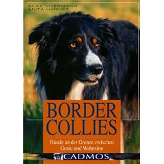 Border Collies: Hunde auf der Grenze zwischen Genie und Wahnsinn