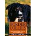 Border Collies: Hunde auf der Grenze zwischen Genie und Wahnsinn