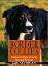 Image of Border Collies: Hunde auf der Grenze zwischen Genie und Wahnsinn