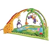 Fisher-Price Rainforest Melodies and Lights Deluxe Gym