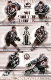(23x34) Colorado Avalanche 2001 Stanley Cup Champions Sports Poster Print