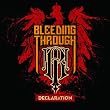 Declaration 