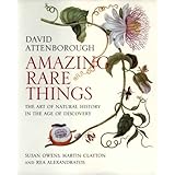 amazing rare things the art of natural history in the age of discovery