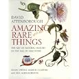 Amazing Rare Things: The Art of Natural History in the Age of Discovery