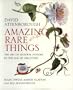 Amazing Rare Things: The Art of Natural History in the Age of Discovery