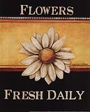 Best Price Flowers Fresh Daily – Mini – Poster by Kimberly Poloson (8×10)