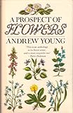 A prospect of flowers : a book about wild flowers