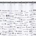 250 Chinese Vocabulary Words Shower Curtain