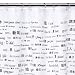 250 Chinese Vocabulary Words Shower Curtain