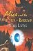 Alice and the Witches of Babizar