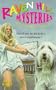 The Bad Dog Mystery (Raven Hill Gang)