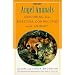 Angel Animals : Exploring Our Spiritual Connection With Animals