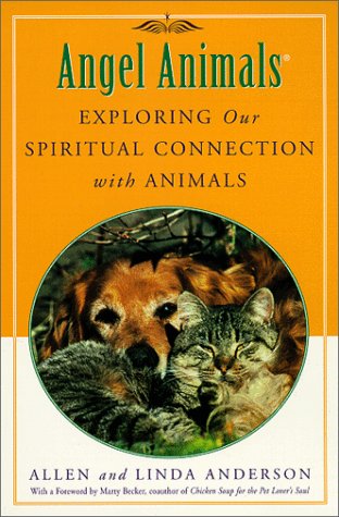Pets