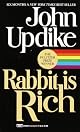 Rabbit Is Rich