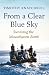 From A Clear Blue Sky: Surviving the Mountbatten Bomb