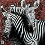 Couple de Zebras II Animals Art Poster Print by Fabienne Arietti, 28x28