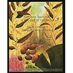 Common Seaweeds of the Gulf of California book cover