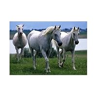 Melissa Doug White Stallions Cardboard Jigsaw Puzzle (100 pcs)