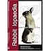 Must-Read Books About Pets