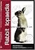 Rabbitlopaedia: A Complete Guide to Rabbit Care (Complete Guide To... (Ringpress Books))
