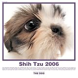 The Dog Shih Tzu (Artlist Collection)