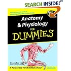 Click here to buy Anatomy and Physiology for Dummies by  Donna Rae Siegfried.