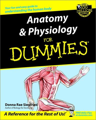 Anatomy and Physiology for Dummies under The Books Store