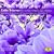 Cello-Tr�ume-Romantische Kl�nge Zum Verlieben (Cc)