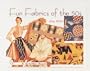 Fun Fabrics of the '50s