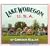 Lake Wobegon USA