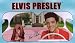 Elvis Presley Hounddog Car SUV Truck Front Windshield Sunshade