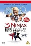3 Ninjas: High Noon at Mega Mountain