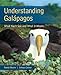Understanding Galapagos